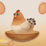 둥지에 앉아있는 닭과 주변에 여러 개의 달걀이 있는 이미지