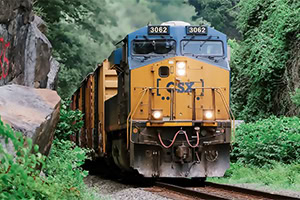 울창한 녹색 나무 사이를 달리는 노란색과 파란색 기차