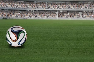 잔디 경기장 위에 축구공이 놓여 있고, 배경에는 관중석이 보입니다