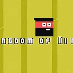 노란색 배경에 간단한 그래픽 스타일로 그려진 닌자 이미지와 KINGDOM OF NINJA 2라는 텍스트가 중앙에 있다