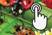민첩성을 시험해보세요!