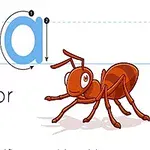 큰 A와 작은 a 글자, 개미 그림, A is for Ant라는 텍스트가 있는 교육용 이미지