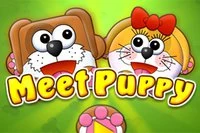 Meet Puppy에서는 강아지 커플이 헤어져서 어쩔 줄 몰라 합니다