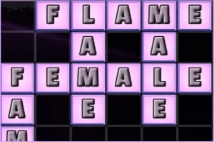 분홍색 배경의 격자 안에 FLAME과 FEMALE이라는 단어들이 배치되어 있다
